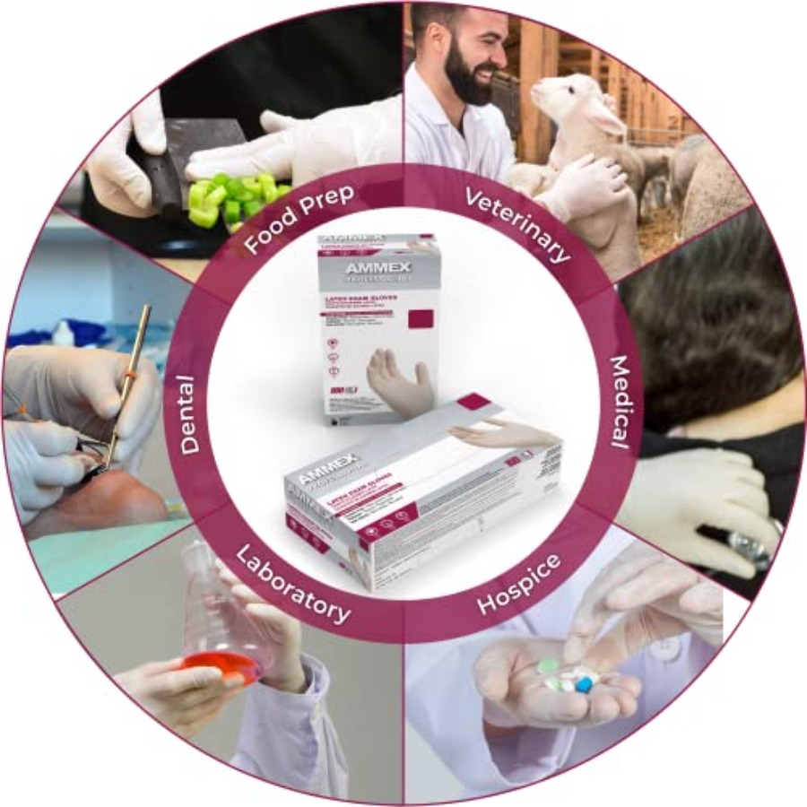 AMMEX White Latex Disposable E - Latex Disposable Glove recension och pris