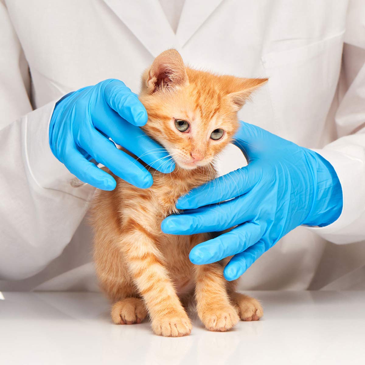 Latex-Free Blue Nitrile Exam G - Exam Glove Nitrile recension och pris